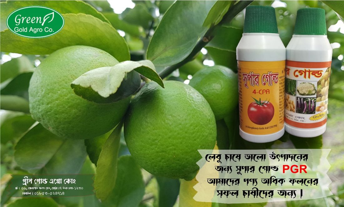 সুপার গোল্ড PGR