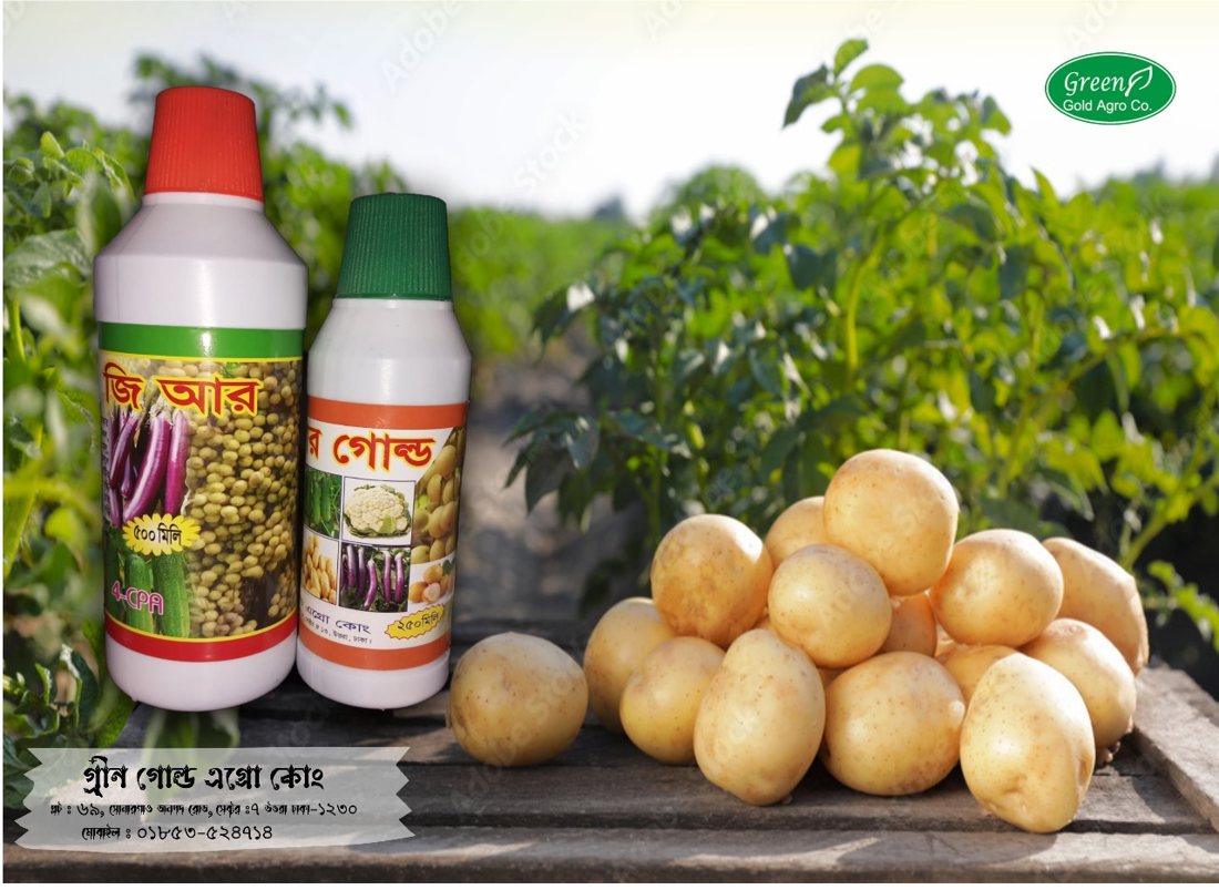 আলুর মাঠে গ্রীন গোল্ড এগ্রোর পণ্য